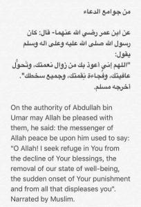 c7bfcfe8-79cf-46e3-bff7-7c044b2df294-original-2